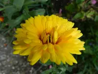 065.webp