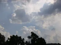 DSC00174.webp