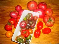 PICT0010.webp