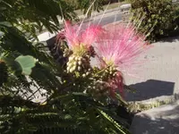 DSCF1650.webp