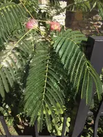 DSCF1652.webp