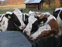 DSC00016.webp DSC00016.webp