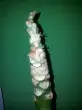 20120912_160116.webp