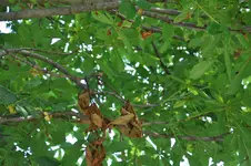 DSC_0141.webp