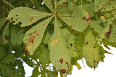 DSC_0142.webp