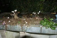 DSC08499.webp