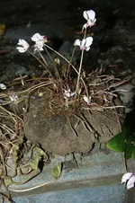 DSC08502.webp