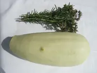 DSCF1454.webp