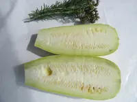 DSCF1455.webp