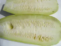DSCF1456.webp