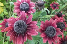 2012_0914Sommer0005.webp