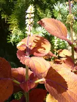 082.webp