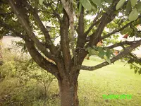 PICT0196.webp