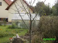PICT0198.webp