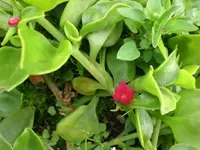 004.webp