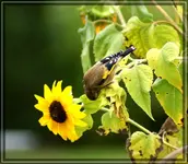comp_DSC00092.webp