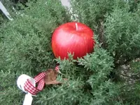 012.webp