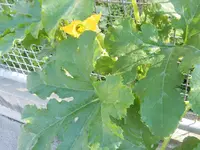 DSCF1460.webp