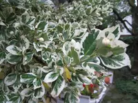 IMG_3283.webp