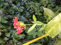 20120916_154610.webp