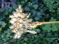 20120916_154617.webp