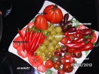 BILD0833.webp