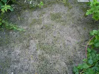 015.webp