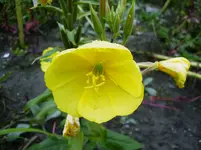 016.webp