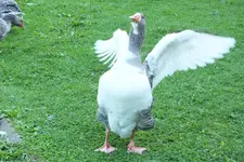 2012_0916Sommer0058.webp