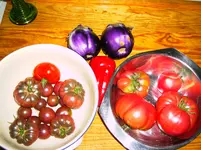 013.webp