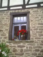 Fenster1.webp