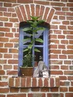 Fenster2.webp