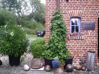 Ansicht1.webp