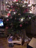 DSC00038lu8.webp