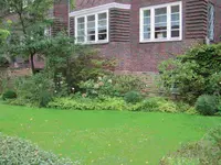 Beete4.webp