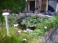 100_0821.webp