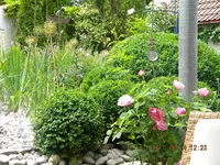 DSCN0414.webp