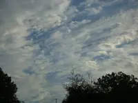 DSC00250.webp