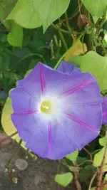 GEDC0037.webp