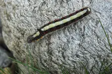 2012_0917Sommer0014.webp