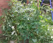 2012-09-14 13.50.25.webp
