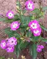 2012-09-14 14.02.00.webp