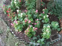 IMG_3601.webp
