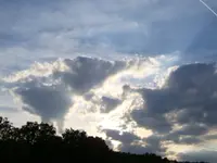 DSC00274.webp