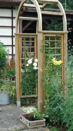 DSC01892.webp