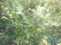 DSCN1817.webp