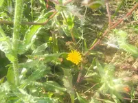 DSCN1819.webp