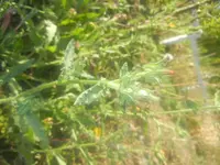 DSCN1820.webp