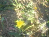 DSCN1823.webp