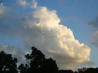 DSC00293.webp
